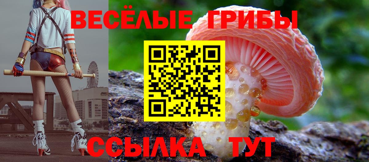 Галлюциногенные грибы MAGIC MUSHROOMS  Галлюциногенные грибы прущие грибы  Вход с VPN  наркотики  Саяногорск 